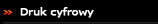 Druk cyfrowy
